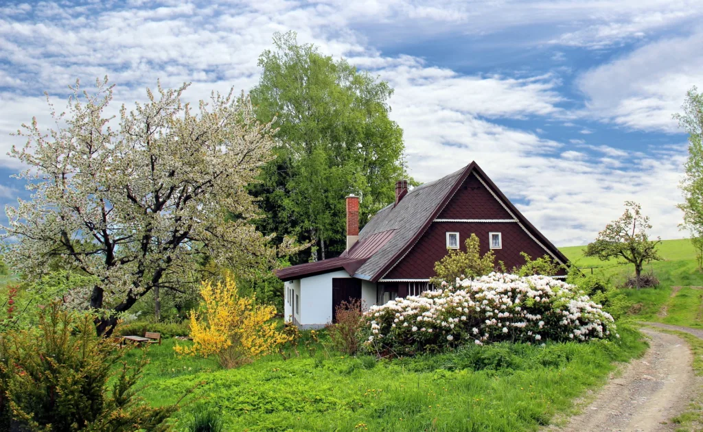 Cozy Cottage with flowers