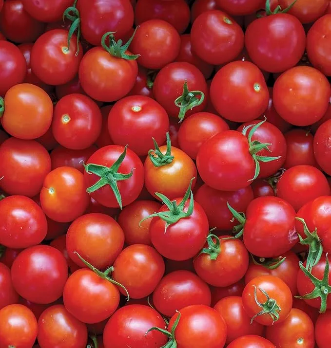 How to Grow Sweet 100 Cherry Tomatoes